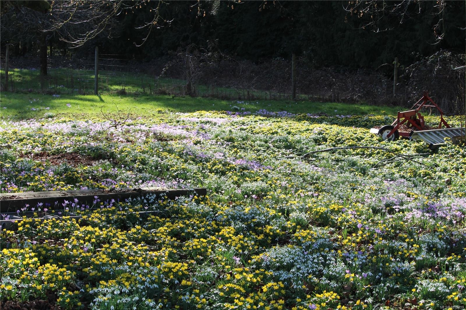 7028 Westholme Rd, Westholme, BC