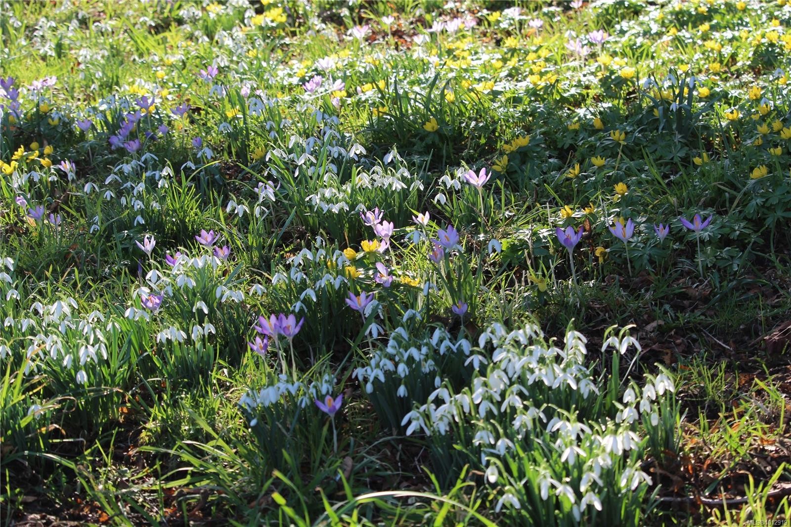 7028 Westholme Rd, Westholme, BC