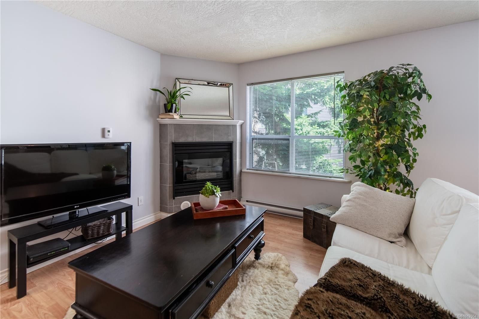 304-832 Fisgard St, Victoria, BC - Indoor Photo Showing Living Room With Fireplace