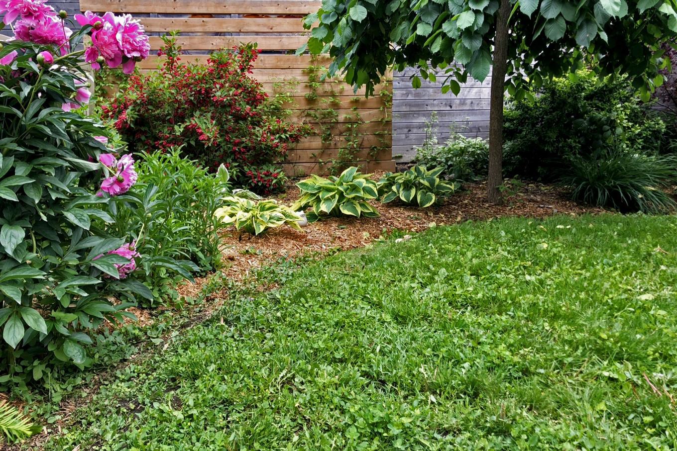 Extérieur - 9840 Rue Basile-Routhier, Montréal (Ahuntsic-Cartierville), QC - Outdoor