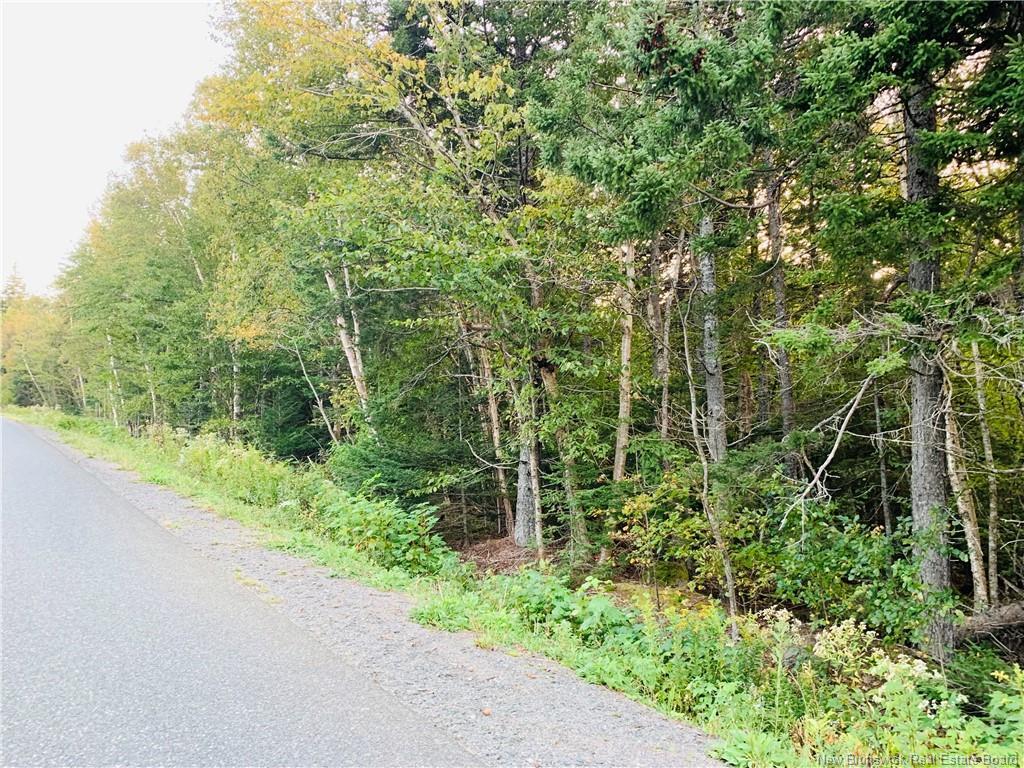 85-42 Bunker Hill Rd, Wilsons Beach, NB