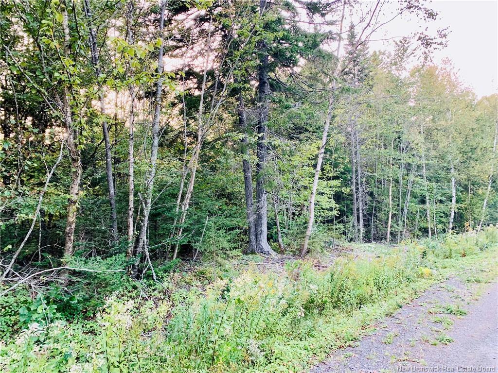 85-42 Bunker Hill Rd, Wilsons Beach, NB