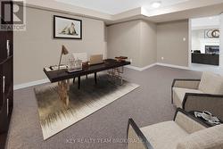bonus room lower level -