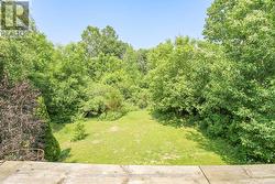 View from Upper Back Deck -