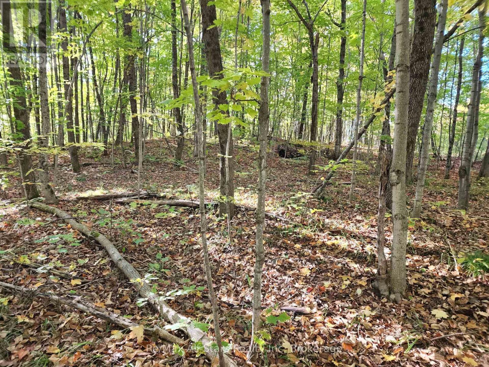 A Tally Ho Winter Park Road, Lake Of Bays (Sinclair), ON