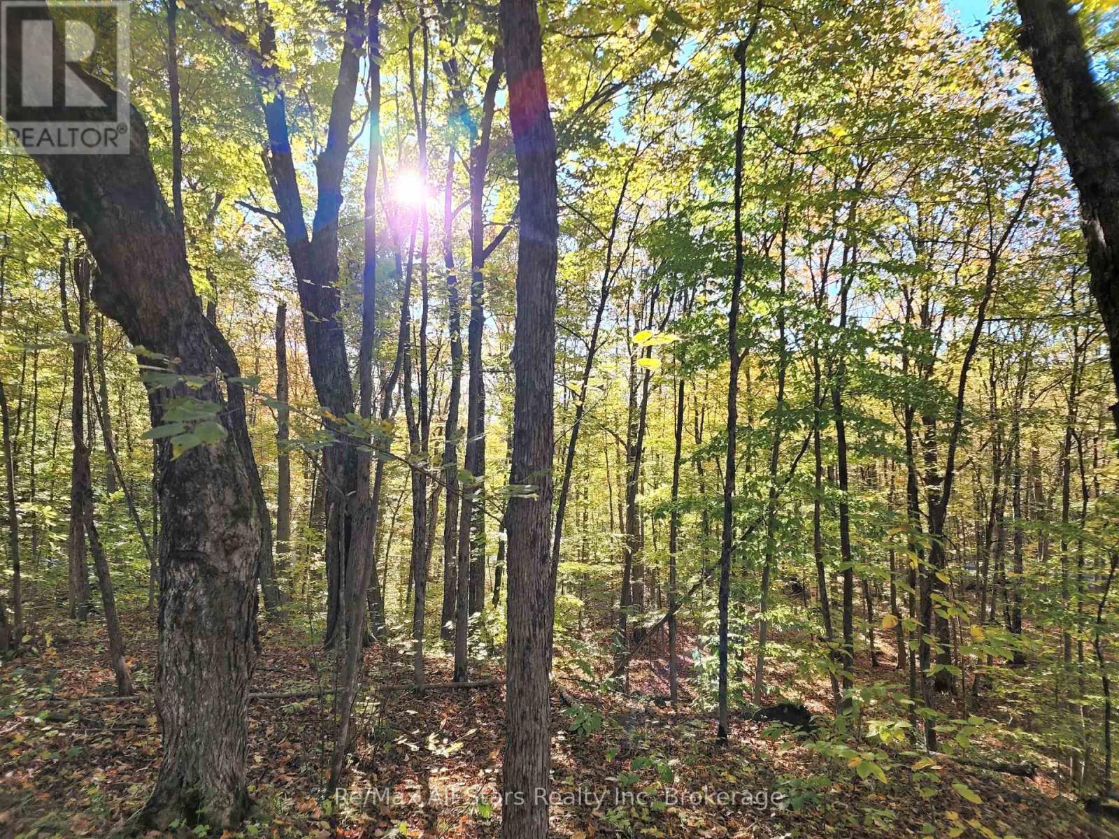 A Tally Ho Winter Park Road, Lake Of Bays (Sinclair), ON