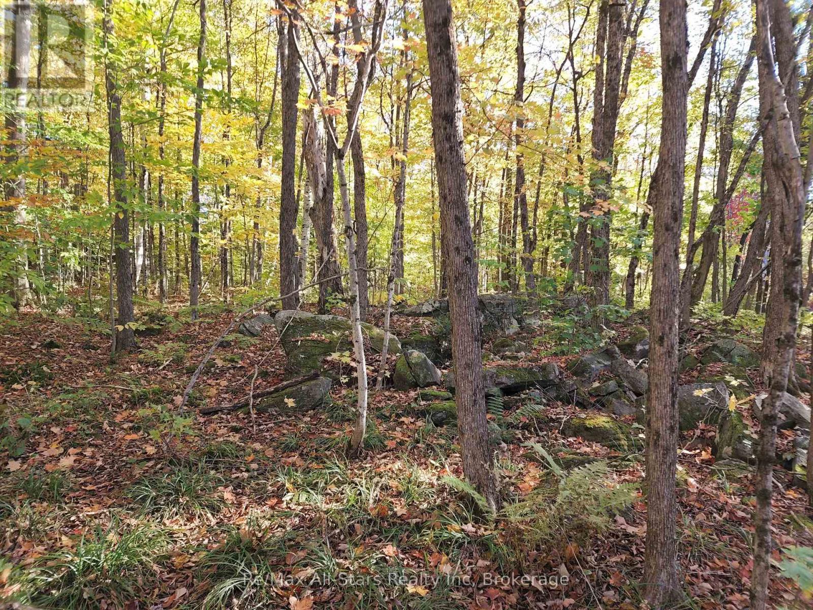 A Tally Ho Winter Park Road, Lake Of Bays (Sinclair), ON