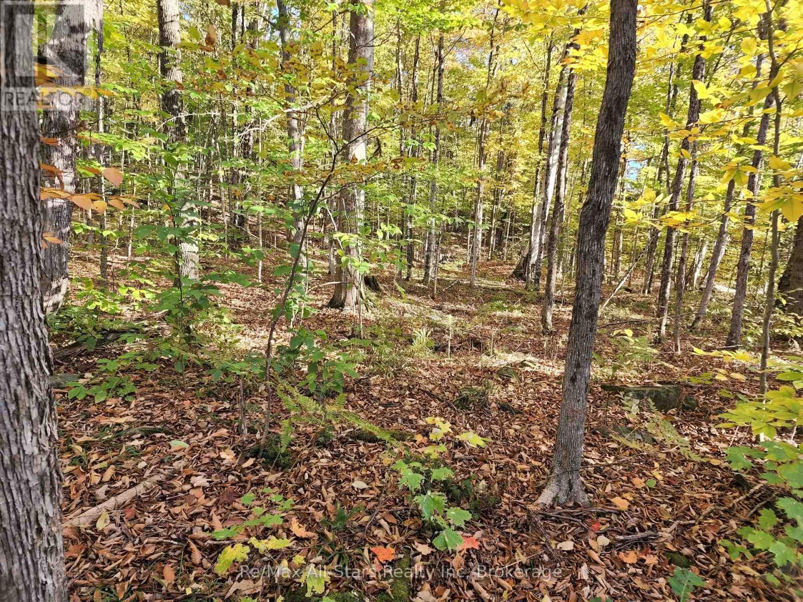 A Tally Ho Winter Park Road, Lake Of Bays (Sinclair), ON