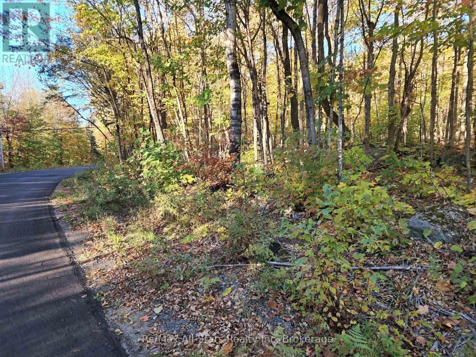 A Tally Ho Winter Park Road, Lake Of Bays (Sinclair), ON