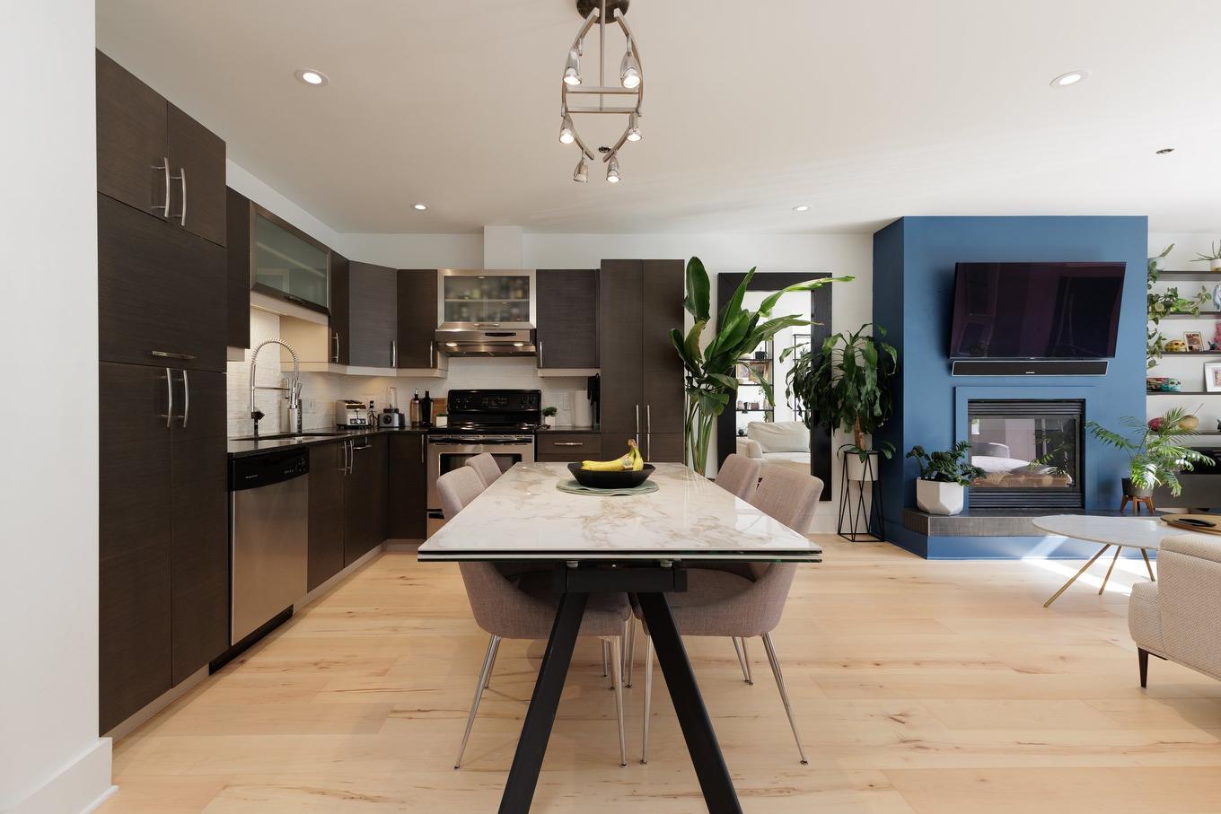 Overall view - 203-4247 Rue Clark, Montréal (Le Plateau-Mont-Royal), QC - Indoor With Fireplace