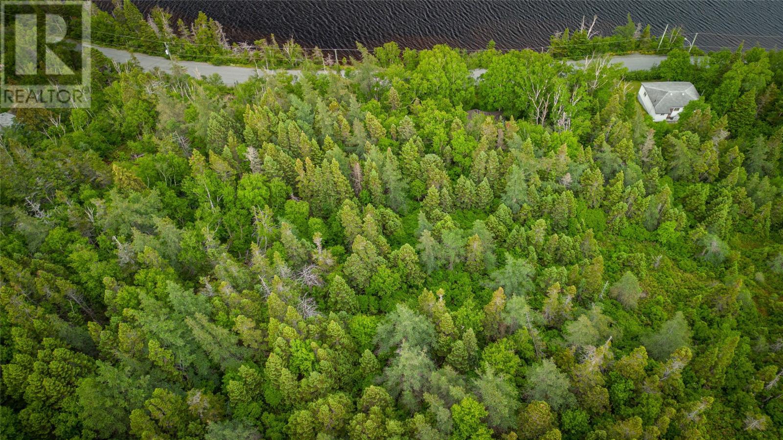 36 Lawrence Pond Road W, Conception Bay South, NL