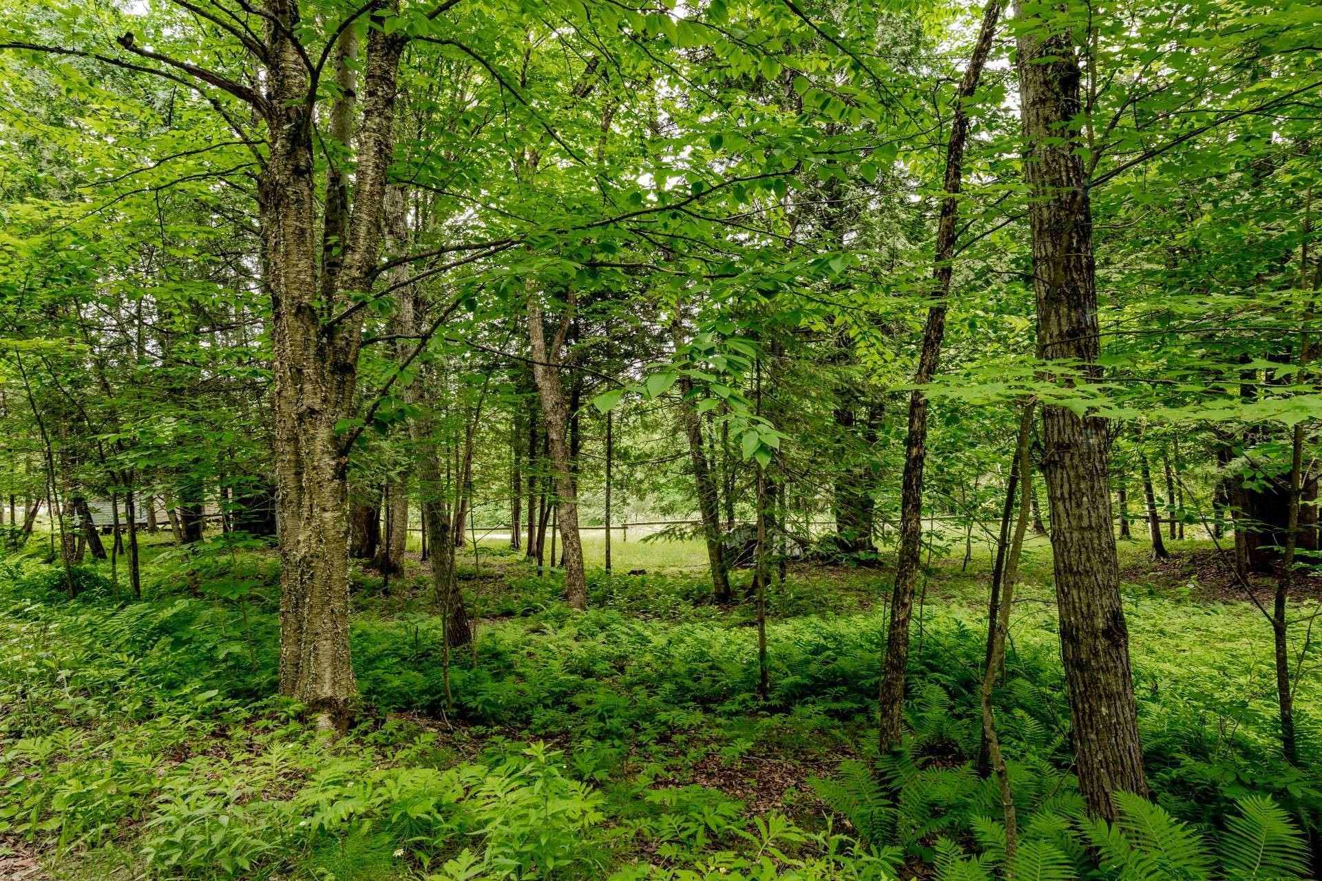 Terre/Terrain - Ch. De Hyatt'S-Mills, Compton, QC
