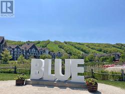 Blue Mountain Village -