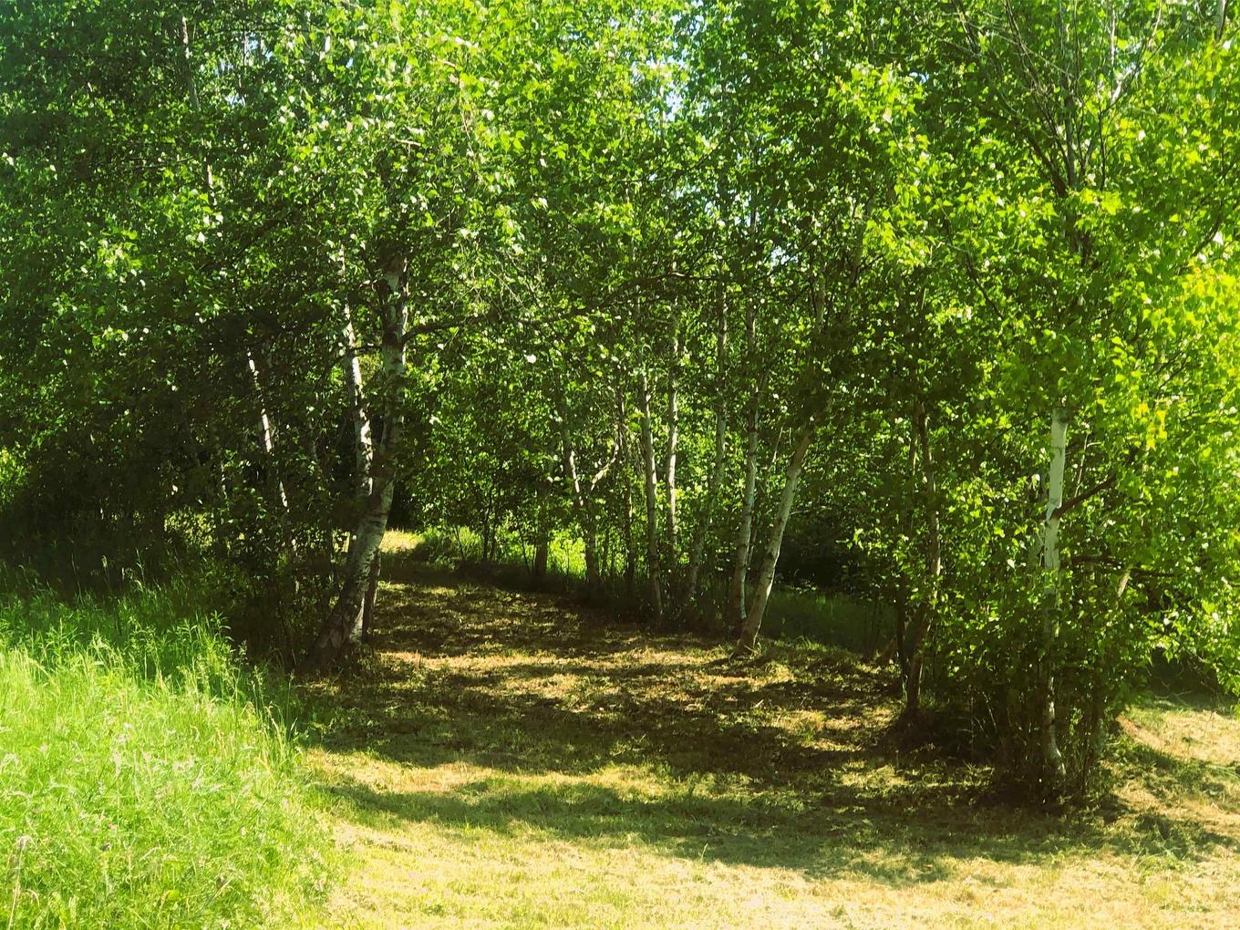 392 Island Road, Malagash, NS