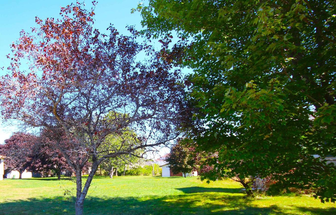 304 Astral Drive, Cole Harbour, NS