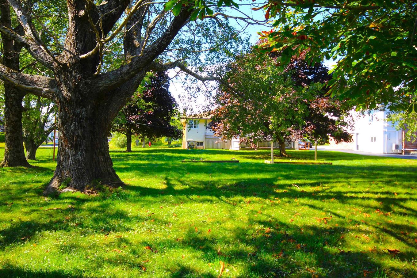 304 Astral Drive, Cole Harbour, NS