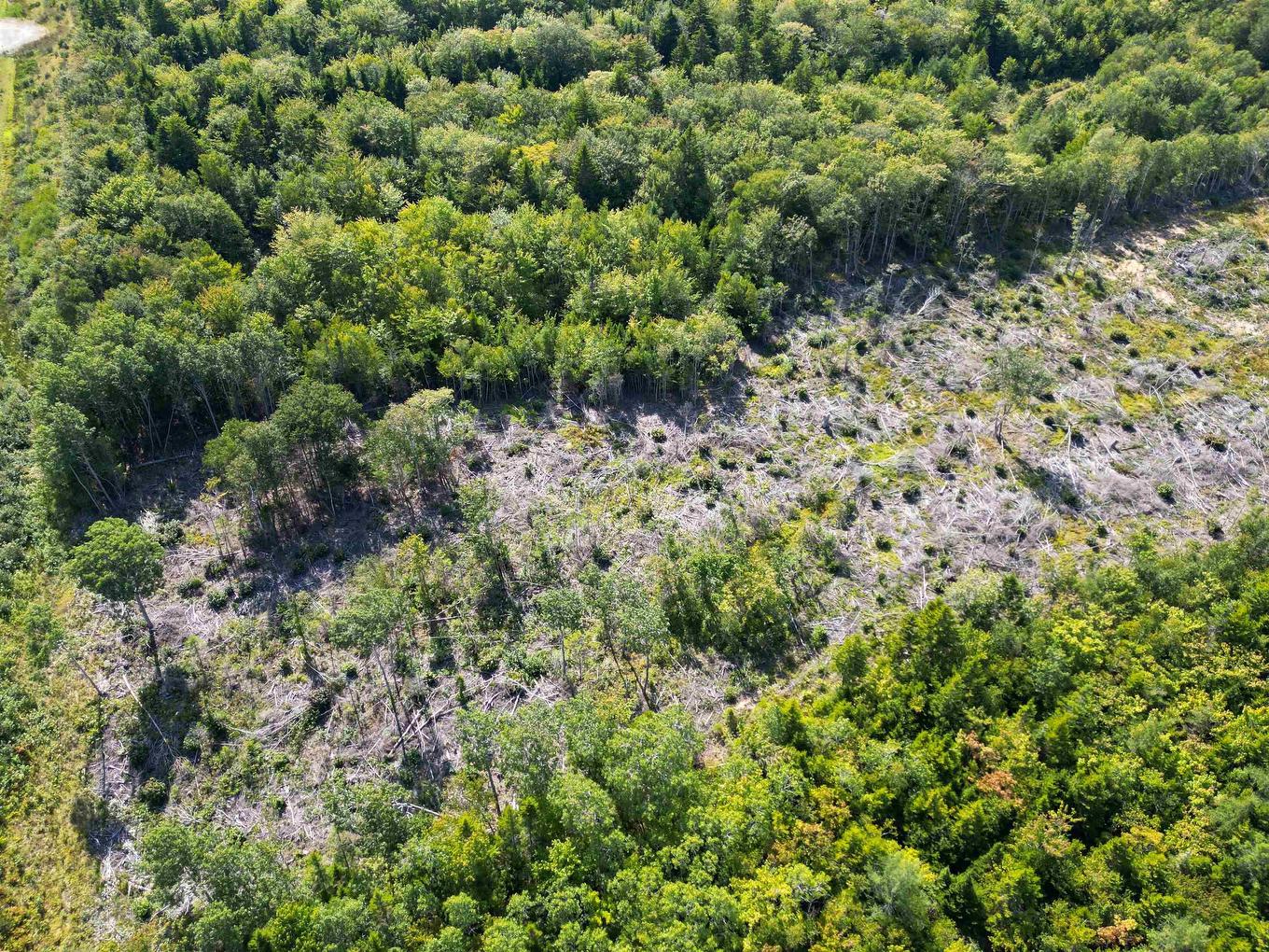 Lot Second Division Road, Meteghan, NS