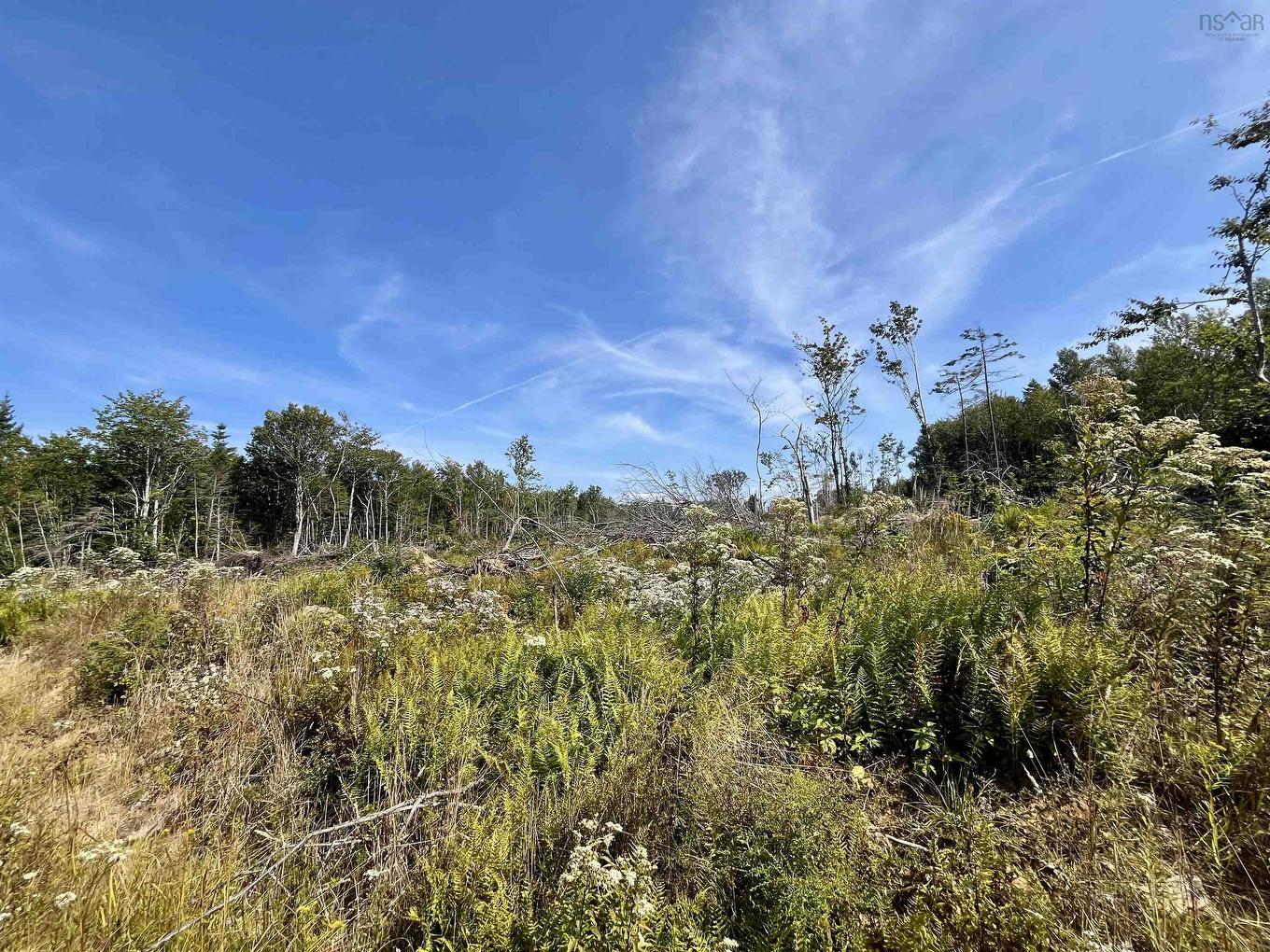 Lot Second Division Road, Meteghan, NS