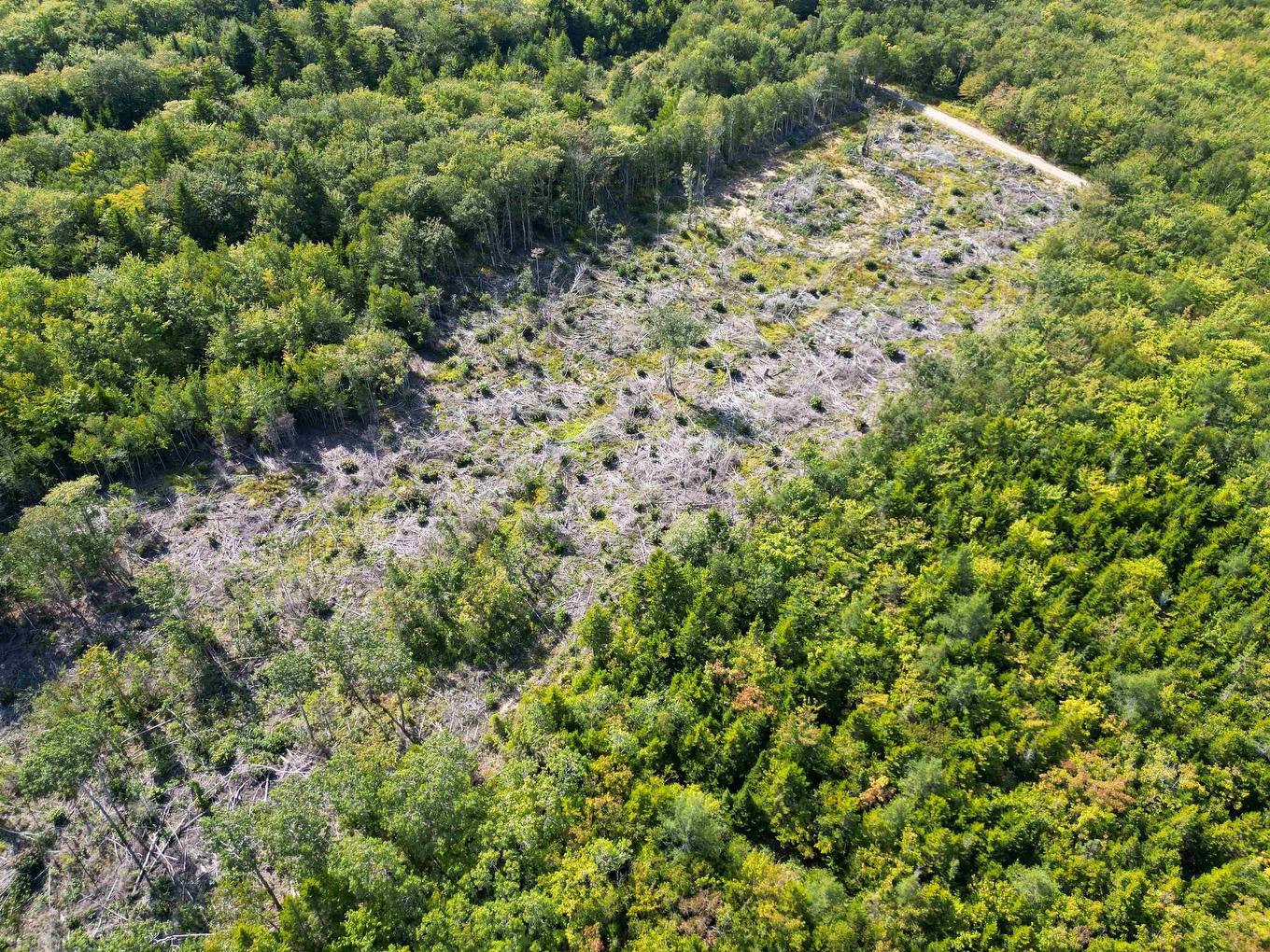 Lot Second Division Road, Meteghan, NS