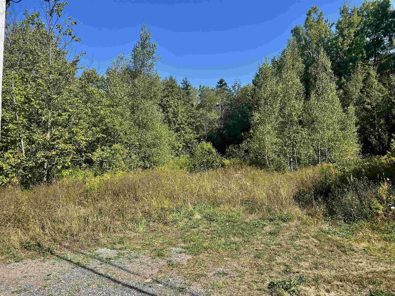 2438 Greenfield Road, Forest Hill, NS