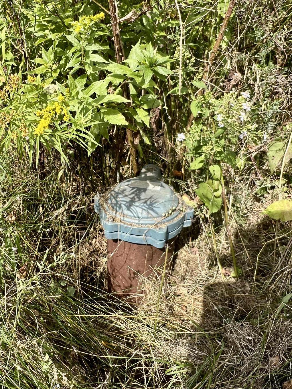 2438 Greenfield Road, Forest Hill, NS