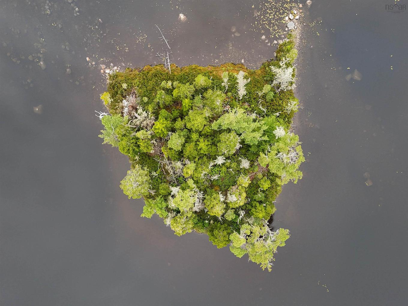 Level Spot Lake, Lake Charlotte, NS