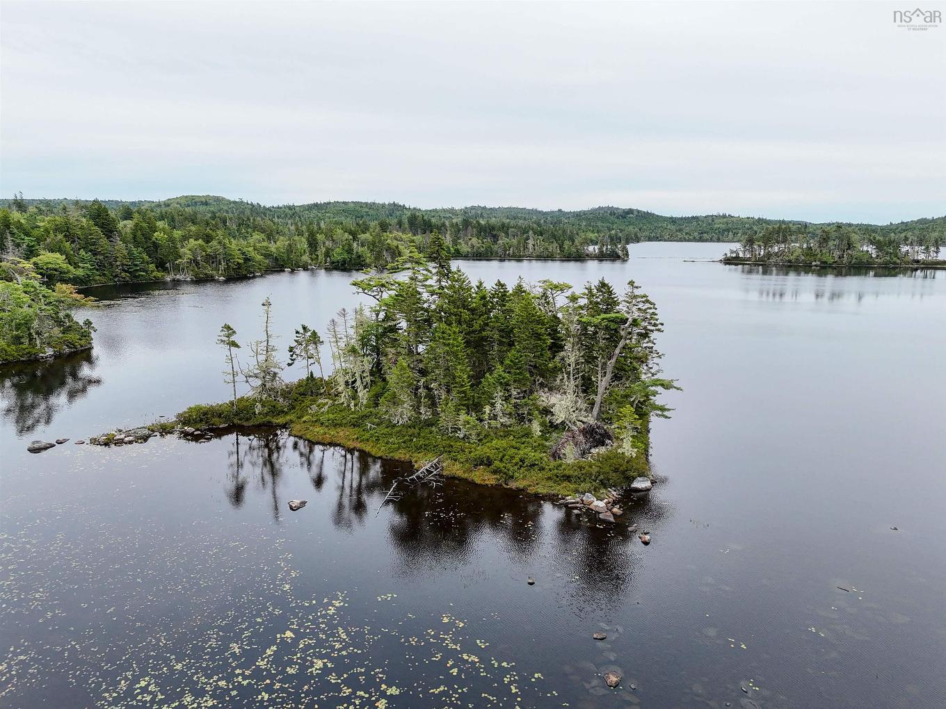 Level Spot Lake, Lake Charlotte, NS