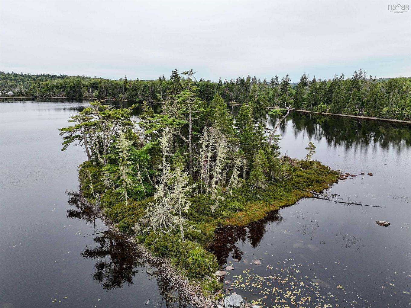 Level Spot Lake, Lake Charlotte, NS