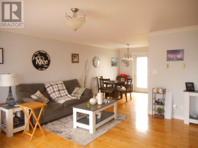 62 Bayview Road, Springdale, NL - Indoor Photo Showing Living Room