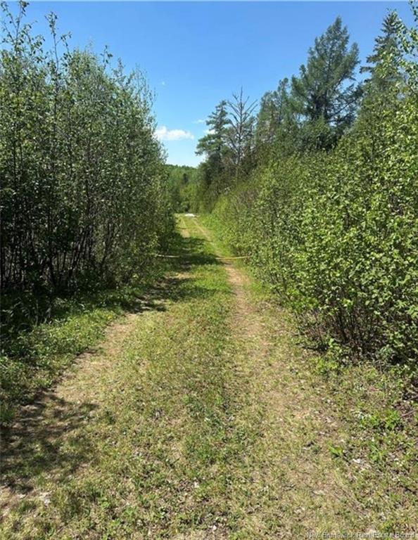 Lot 118 Rte, White Rapids, NB