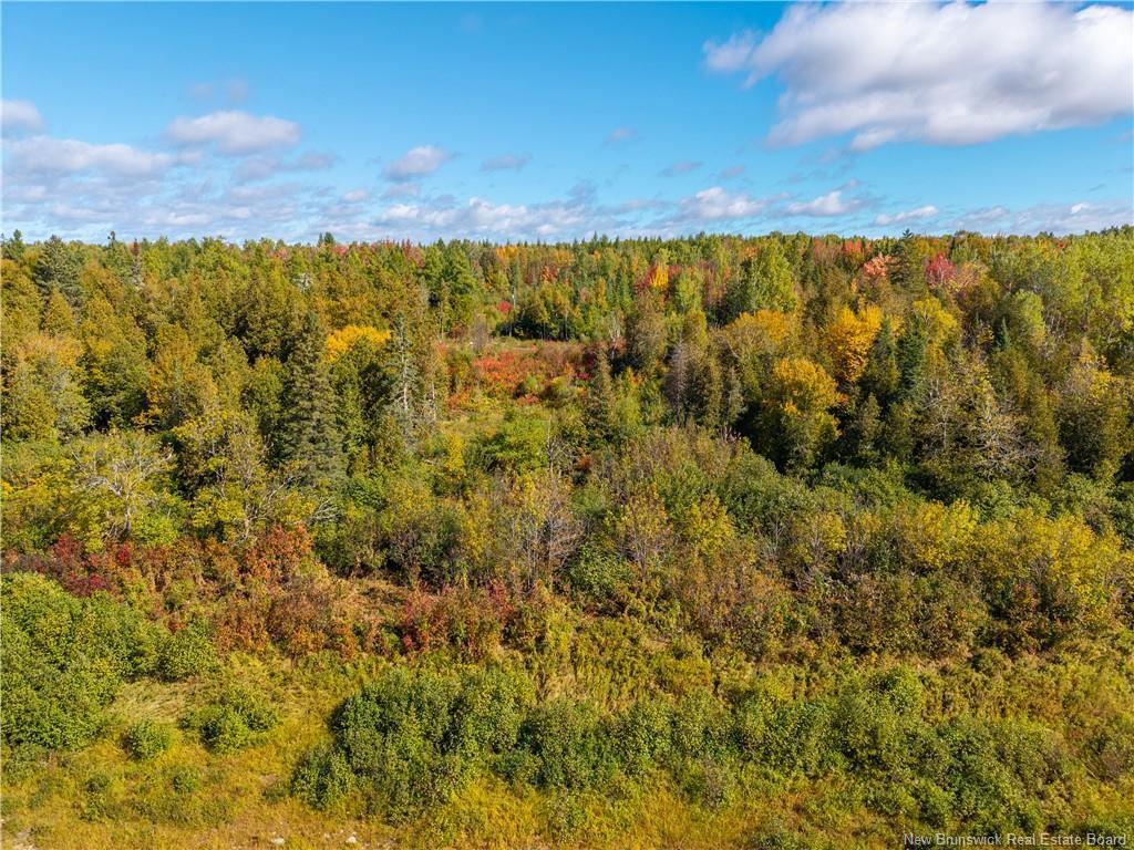 Lot 118 Rte, White Rapids, NB