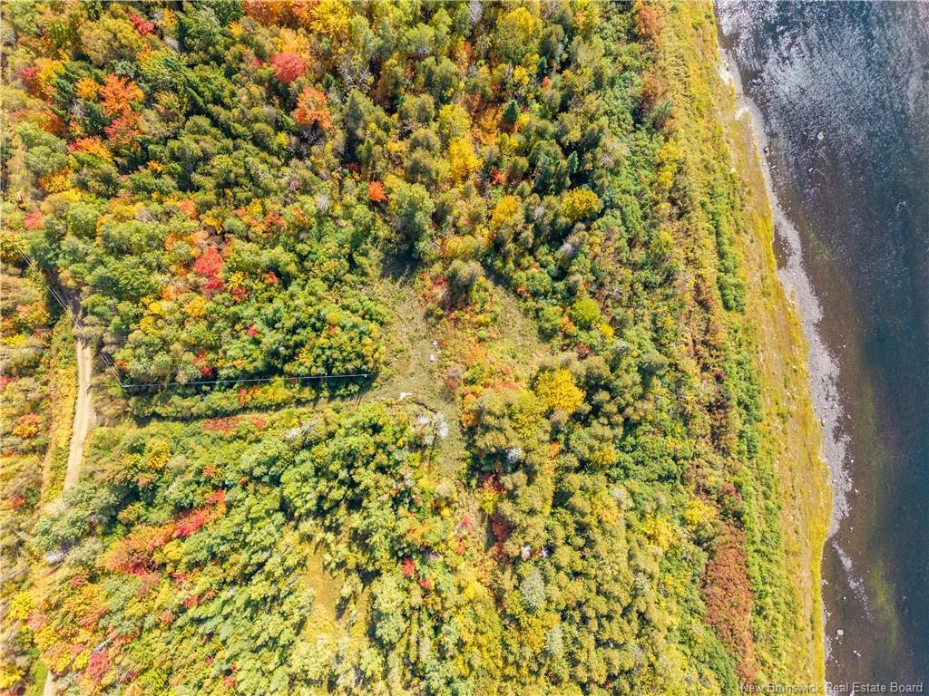 Lot 118 Rte, White Rapids, NB