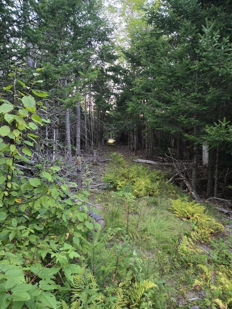 Union 1 Road Greenfield, Greenfield, NS