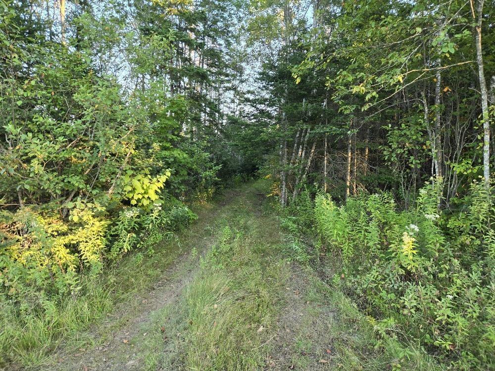 Union 1 Road Greenfield, Greenfield, NS