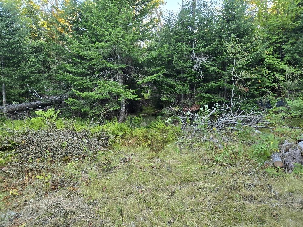 Union 1 Road Greenfield, Greenfield, NS