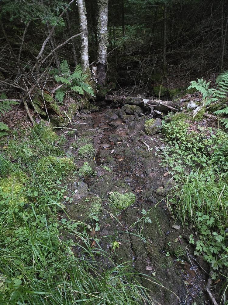 Union 1 Road Greenfield, Greenfield, NS