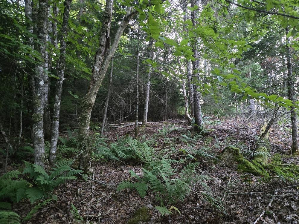 Union 1 Road Greenfield, Greenfield, NS