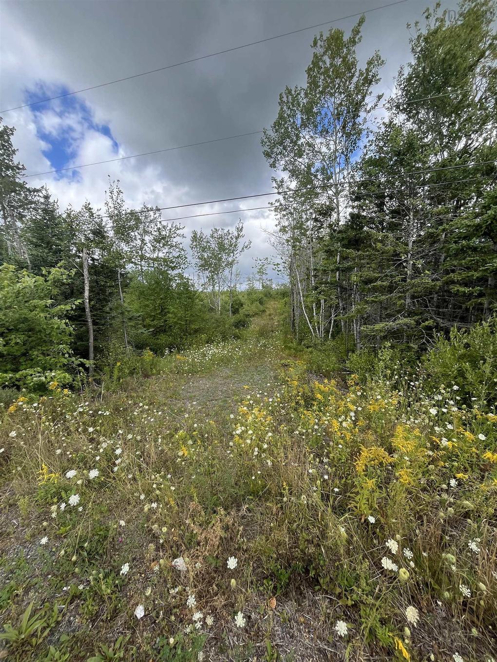 313 Mark Road, Riverton, NS