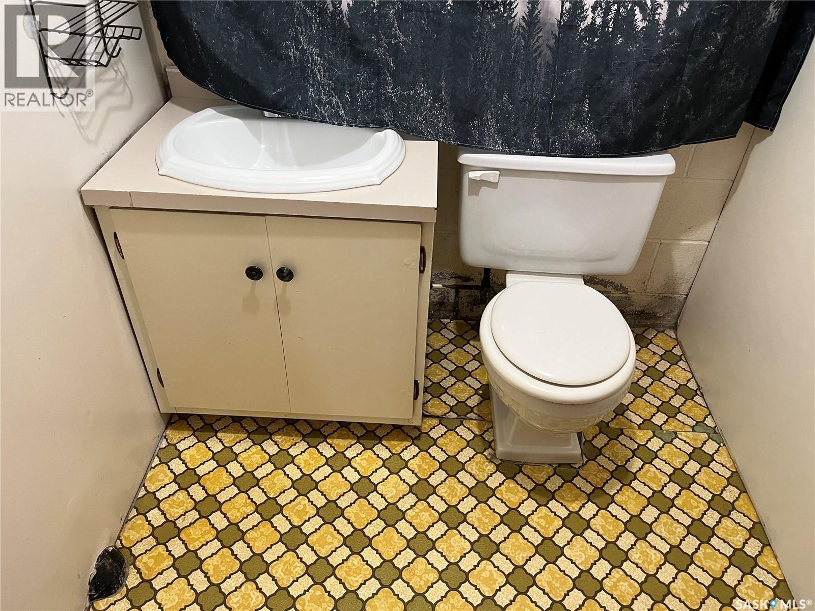 220 Knobel Street, Foam Lake, SK - Indoor Photo Showing Bathroom