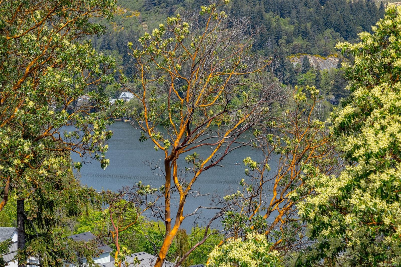 415-1145 Sikorsky Rd, Langford, BC - Outdoor With View