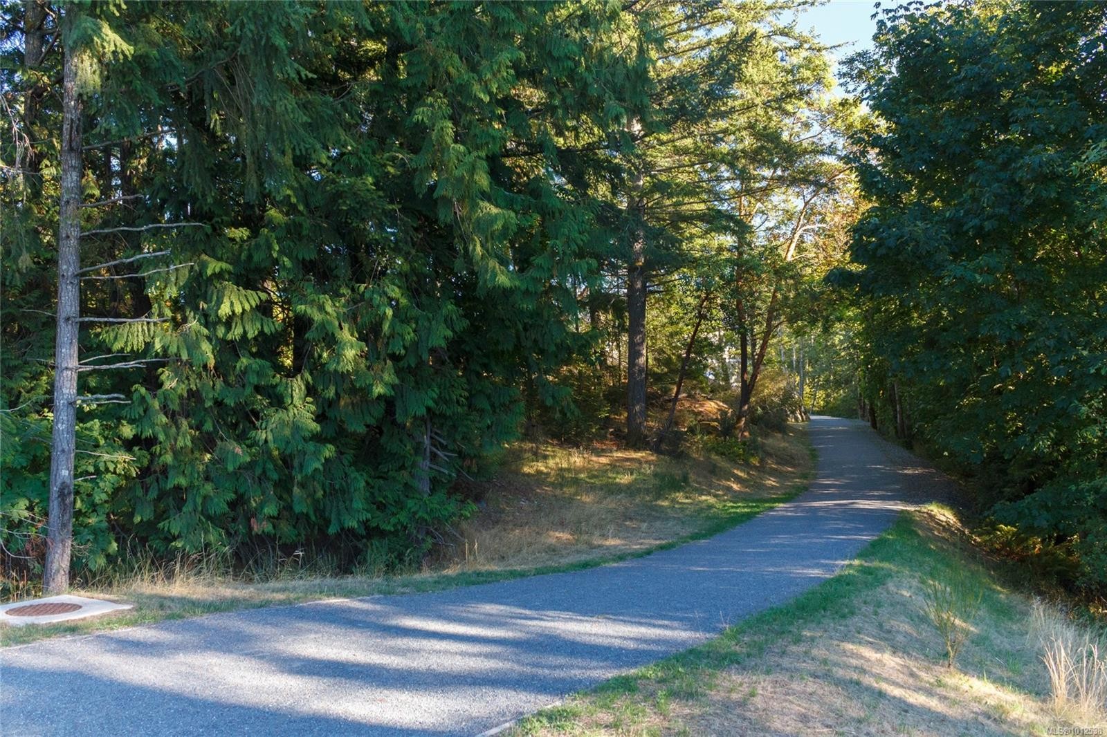 415-1145 Sikorsky Rd, Langford, BC - Outdoor