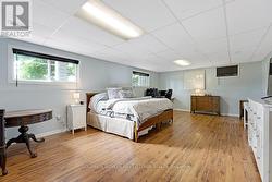 Lower level bedroom -