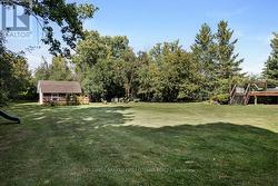 Privacy with mature trees -