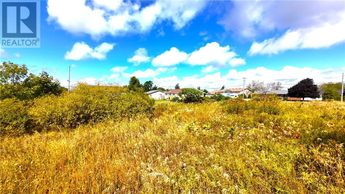 0 Wilson Street E, Little Current, ON