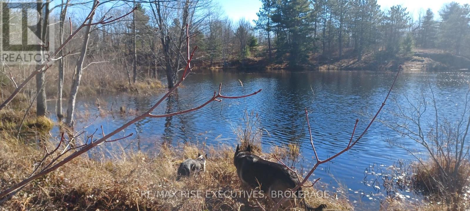 Lt 21 Con 9 Kaladar, Addington Highlands (Addington Highlands), ON