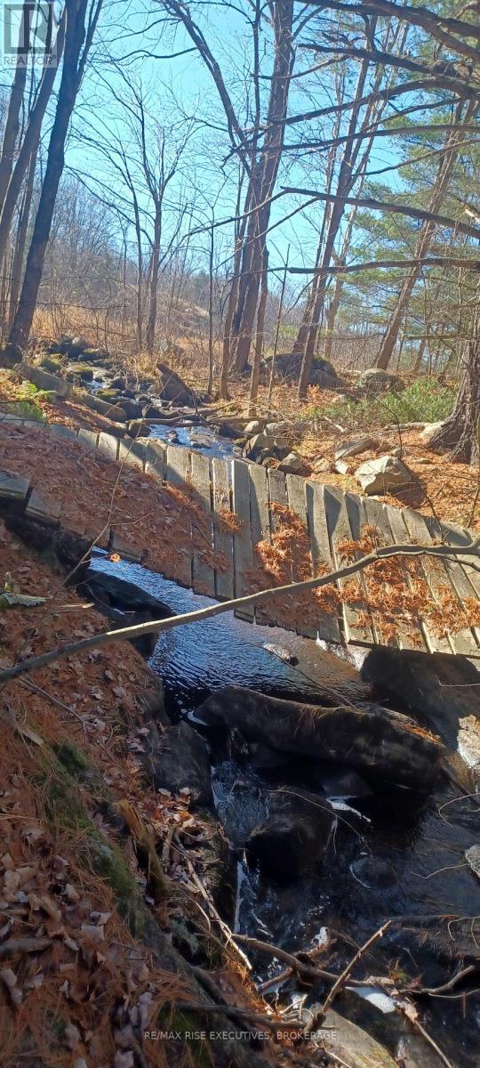 Lt 21 Con 9 Kaladar, Addington Highlands (Addington Highlands), ON