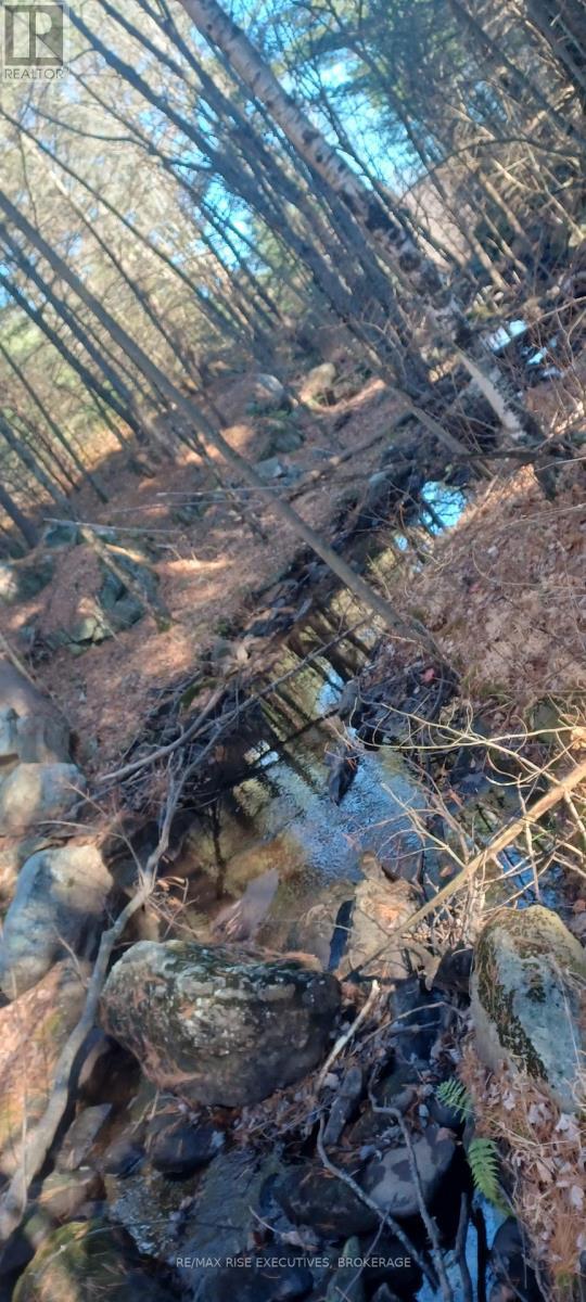 Lt 21 Con 9 Kaladar, Addington Highlands (Addington Highlands), ON