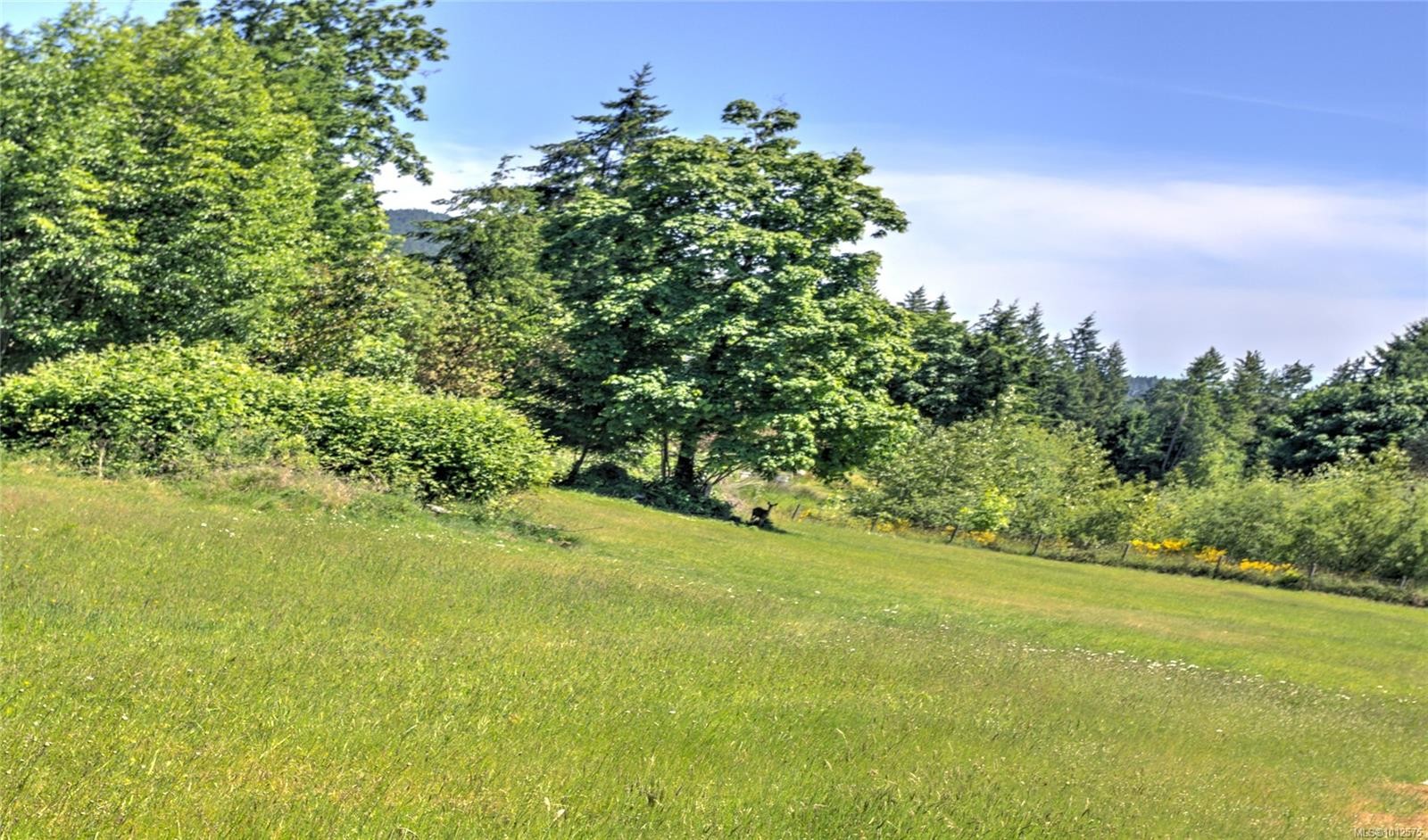 7337 Alberta Pl, Duncan, BC