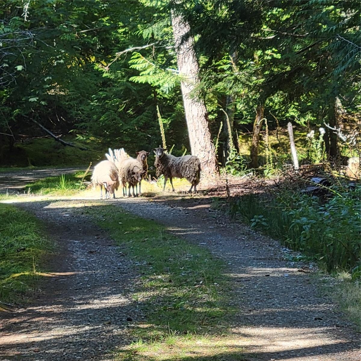 1 Morewater Rd, Lasqueti Island, BC