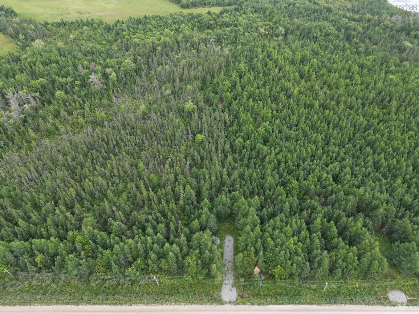 Lot 8 Mountain Road, River Tillard, NS